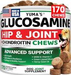 Glucosamine for Dogs - 170 Chews - 