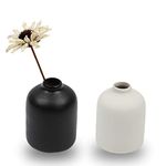 Set of 2 Ceramic Vase for Flower, Small Decorative Flower Vase Set for Home Decor, Living Room, Table, Kitchen, Wedding, Office, White and Black