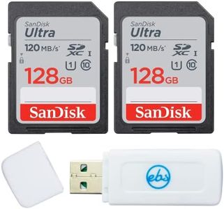 SanDisk 12