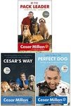 Cesar Milan 3 Books Collection Set 