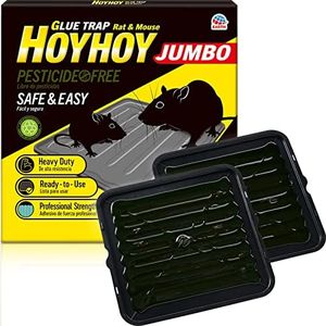 HOY HOY Ju