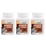 Mamicon Capsule Pack of 3 I For Milk Secretion In Mother I Reduce Breast engorgement I Prevent Mothers From Candida Fungus I Open Blocked Milk Ducts