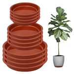 Nuqin Plant Pot Saucers - 12 Pack Plant Saucers,Durable Plastic Plant Trays for Pots,Plant Pot Trays in 3 Sizes,Waterproof Plant Saucer Red - Ideal for Garden,Balcony & Home,Etc