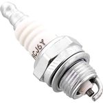 Champion. RCJ6Y Spark Plug