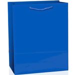 Party Friendly Medium Glossy Gift Bag , Saver Pack of 12 (Each Includes 1 Pieces), 9 1/2"H x 7 3/4"W x 4 1/2"D by Amscan