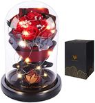 Beauty and the Beast Rose Gifts,Birthday Gifts for Women,Mothers Day Roses Gifts for Mom Girlfriend Wife,Bright and Warm Roses Placed in Transparent and High-Grade Glass Dome Romantic Gifts