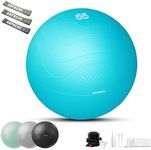 HAPBEAR Exercise Ball (22''/26'') - Anti Burst and Slip Resistant Yoga Ball for Core Exercise & Stability, Home Gym/Rehab/Pregnancy Ball with Quick Pump & 3 Resistance Bands