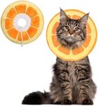 NACOCO Pet Recovery Cone Collar Cat Cute Orange E-Collar Elizabethan Collar After Surgery Recovery Pet Cone for Cat Puppy Breathable Soft Edge and Easy to Clean (Small)