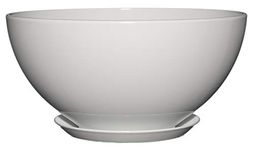 GARDENGOODZ 9010D-405S Planter, 10" Rosie Bowl, Stark White