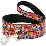 Buckle Down Dog Leash with Buckle