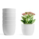 T4U 5 Inch Self Watering Planters Plastic, Modern Decorative Flower Pot Window Box for All House Plants, Flowers, Herbs, African Violets, Succulents - White, Set of 6