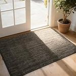 COSY HOMEER Nonslip Door Mat for Indoor, Absorbent Dirt Trapper Front Entryway Door Mat, 100% Polyester Welcome Entrance Mat Rug Modern Style, 60 x 90 cm, Brown