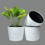 GREENON® 10 Inch Indoor Plant Pot Set of 3 (6 Pots) Self Water | White Outer and Black Inner Plant Container | UnFadable | Best for Indoor and Balcony | Virgin Plastic Gamla | Low Maintanance Pot