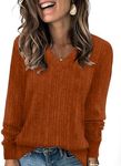 WIHOLL Fall Outfits for Women 2024 V Neck Long Sleeve Shirts Casual Tops Halloween Sweaters Trendy Caramel L