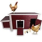 Petsfit Chicken Coop with Nesting B