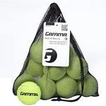 Gamma Bag of Pressureless Tennis Ba