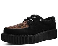 T.U.K. Anarchic Creeper - Men & Womens Shoes - Colour Black Leopard Faux Suede - Punk, Rocker Style and Gothic Shoes - Vegan Fur Lace Up Shoes with D-Ring Eyelets - Size UK M2-W10