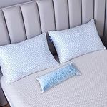 Pillows Queen Size Set of 2 - Adjustable Firm Shredded Memory Foam Pillows - Side Sleeper Bed Pillows for Adults with Washable Cover and Bonus Foam Fill