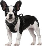 Rabbitgoo Dog Harness No-Pull Pet H