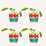 Lazy Gardener Ceramic 4 Inch Plant Pots for Indoor &Outdoor (4, Weave)