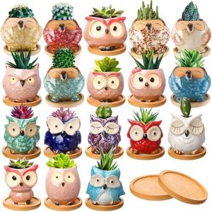 Cindeer 18 Pcs Owl Succulent Plant Pots Mini Planter Owl Planters for Succulents Glaze Cactus Small Plant Pots Garden Pots with Drainage Hole and Bamboo Tray for Home Garden Office Desk Decoration