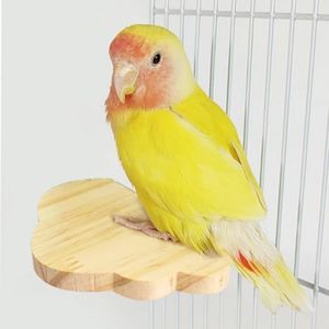 Wood Bird Perch Stand for Cage, Natural Wooden Parrot Platform Bird Perch Bird Toy for Canary Parakeet Cockatiel Parrot Budgie Sparrow