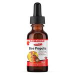 Nutridom Bee Propolis Extract Liquid Drops (30ml) Non-GMO, Alcohol Free, Gluten-free, Soy-free, and Dairy-free, Made in Canada