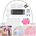 Chamvis Balloon Arch Kit with Elect