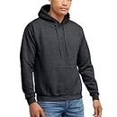 Hanes mens Pullover Ecosmart Hooded Sweatshirt Hoody, Charcoal Heather, Large US