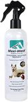 Forticept Maxi-Wash Hot Spot Treatment, Wound Care Antiseptic & Itch Relief Spray for Dogs and Cats. Relives Scratching, Rashes, Sores, Itchy Skin and Paw Licking 8 oz