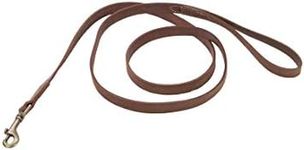 Coastal - Circle T - Rustic Leather Town Dog Leash - Chocolate Brown with Oxidized Plated Brass Hardware - 3/8” x 6'