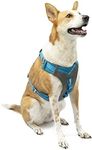 Kurgo Journey Air Dog Harness, Vest