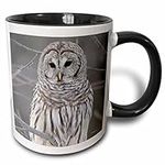 3D Rose mug_21195_4 "Barred Owl" Tw