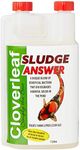 Cloverleaf SA1 Sludge Answer, Clear