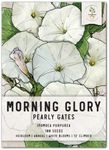 Seed Needs, Pearly Gates White Morning Glory Seeds - 100 Heirloom Seeds for Planting Ipomoea Tricolor - Open Pollinated Annual Climber for a Fence or Trellis (1 Pack)