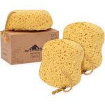 myHomeBody Premium Bath Sponge, Foam Loofah Sponge, Body Sponge for Shower - Large Size, Lots of Lather, Curvy, 3 Pack