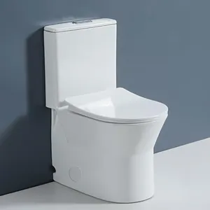 Wonchael 10" Rough-in One Piece Short Toilet Top Dual Flush 0.8/1.6GPF Compact Modern Design For Small Bathroom Rimless Bowl,Ceramic Glossy,White.