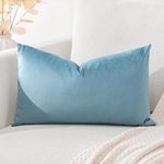 Artscope Luxury Velvet Cushion Covers Super Soft Decorative Rectangle Throw Pillow Covers Case Cushion Covers for Sofa Couch Bedroom Car Decor 40x60cm Light Blue