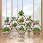 Tikea Hexagonal Plant Stand Indoor Outdoor, 11 Tiers Large Wooden Sturdy Creative DIY Plant Shelf Holder Rack for Window, Corner, Living Room, Balcony, Garden, Office