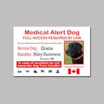 Medical Alert Service Dog Wallet Card, Service Dog Wallet Card, ID Card, Personalized Service Dog ID Card