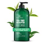 Botanic Hearth Eucalyptus Tea Tree Body Wash | Shower Gel - 16 fl oz | for Men and Women | Antifungal, Moisturizing & Soothing Formula with Natural Oils