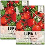 Seed Needs Tiny Tim Tomato Seeds for Planting - Non-GMO, Heirloom & Untreated - Organically Grow an Outdoor Vegetable Garden - Dwarf Plants Produce Cherry Tomatoes (2 Packs)