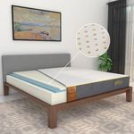 SleepyCat Latex Mattress | 10 Years Warranty | Firm, Orthopedic 6-inch Hybrid Mattress with Pinhole Tech Latex & Memory Foam layers | 5-Zone Support and Bamboo Cover (King Size, 72x72x6inches)