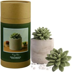 Pretty Valley Home Succulent Gypsum Ceramic Fragrance Diffuser Vase Set Frozen Pear 100ml, Home Reed Diffuser for Bathroom Office Bathroom Living Room Decor