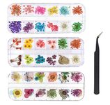 KAHEIGN 96 Pieces Nail Dried Flower, 3D Nail Art Real Dried Flower Nail Applique Nail Parts Preserved Flower Manicure Nail Art Decoration - with Tweezers