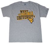 Champion Virginia T-shirts