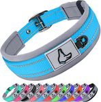 Joytale Dog Collar for Extra Large Dogs, Neoprene Padded Large Dog Collar, Reflective Wide Pet Collars with Durable Metal Belt Buckle, Adjustable Heavy Duty Nylon Dog Collar, Sky Blue, XL