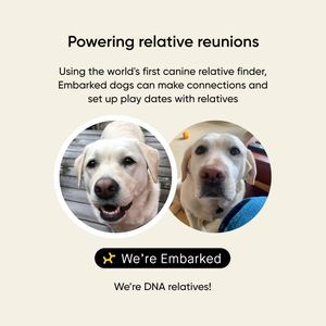 Embark Dog DNA Test Kit – Breed Identification & Health Screening