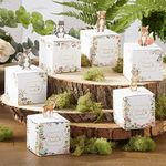 Kate Aspen (Set of 24) Woodland Bab