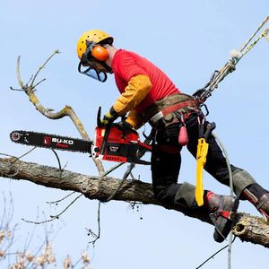 BU-KO 65cc Petrol Chainsaw 20" – 20 Inch Gas Powered Saw